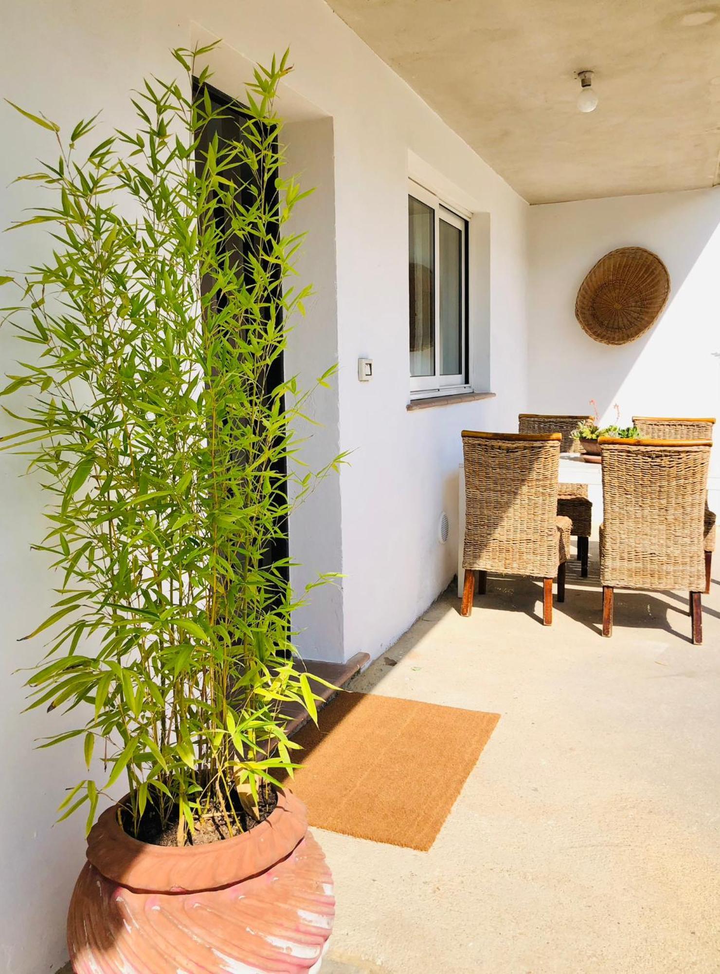 Blue Apricot Apartment Con Jacuzzi Montesilvano Marina Exterior foto